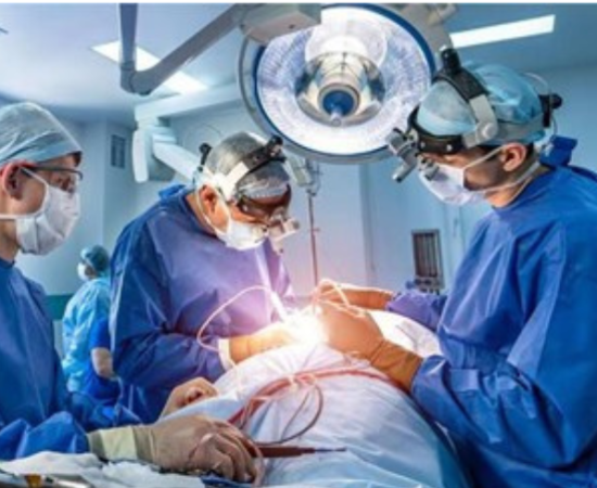 services (740 x 490 px) (90)