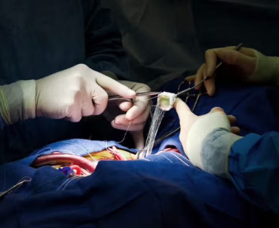 services (740 x 490 px) (99)