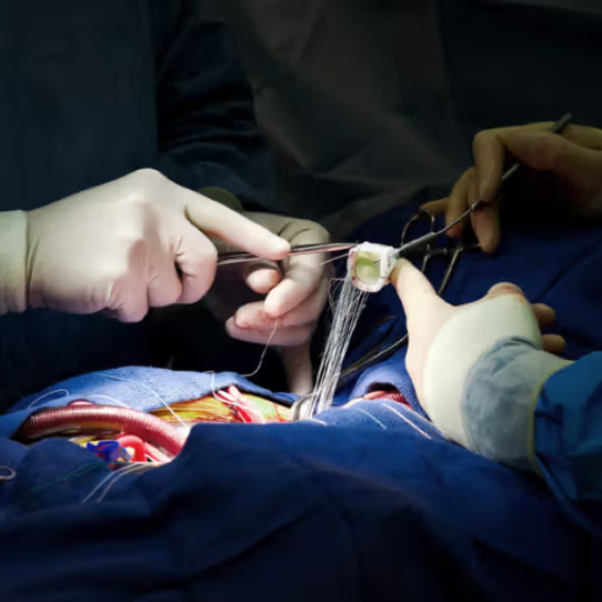 services (740 x 490 px) (99)